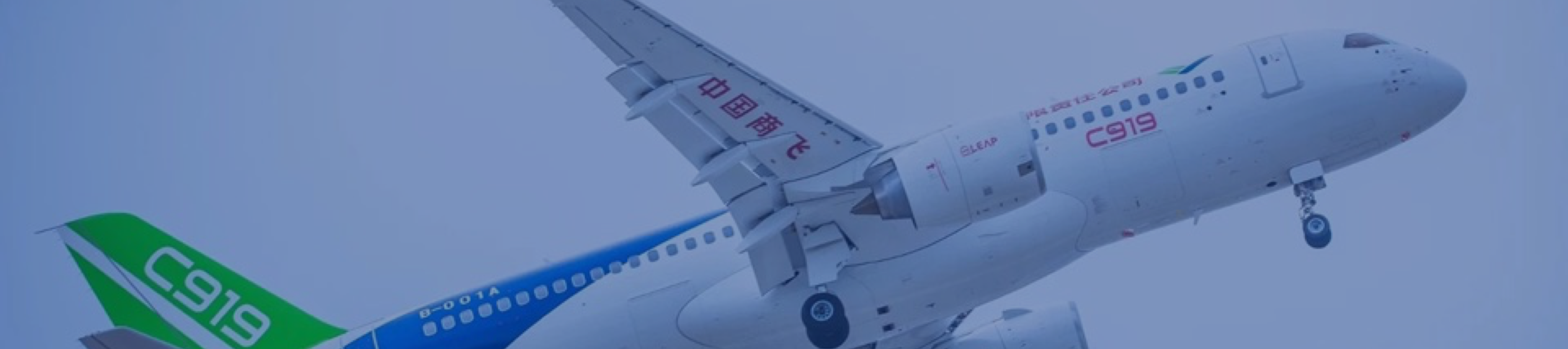 贝斯特全球最奢华(中国)有限公司